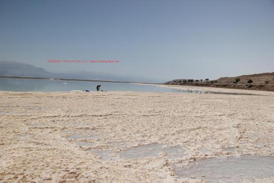 Nadia Hosting Dead Sea Villa Neve Zohar Luaran gambar