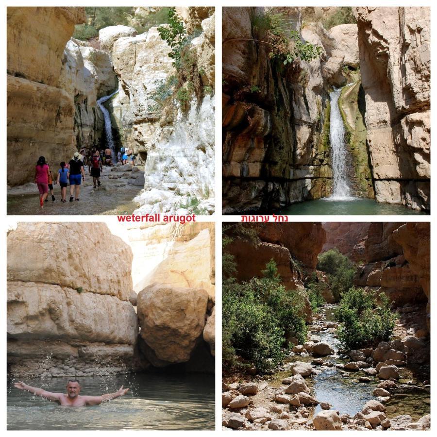 Nadia Hosting Dead Sea Villa Neve Zohar Luaran gambar